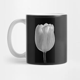 White Tulip with Black Background Mug